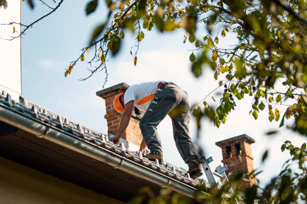 Best Residential Roofing Contractor  in Ypsilanti, MI