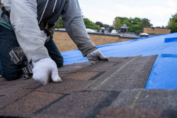 Quick and Trustworthy Emergency Roof Repair Services in Ypsilanti, MI