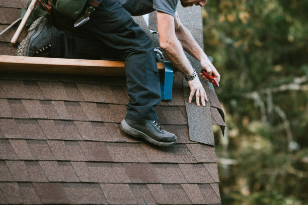 Best Metal Roofing Contractor  in Ypsilanti, MI